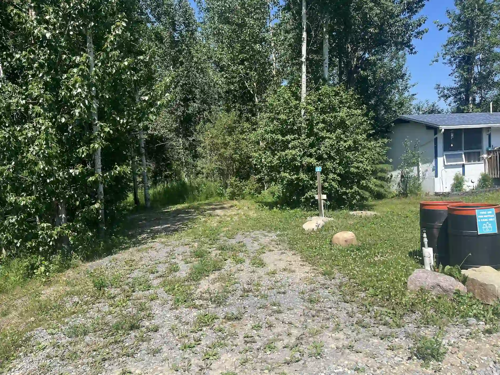 Louie Lake Site View