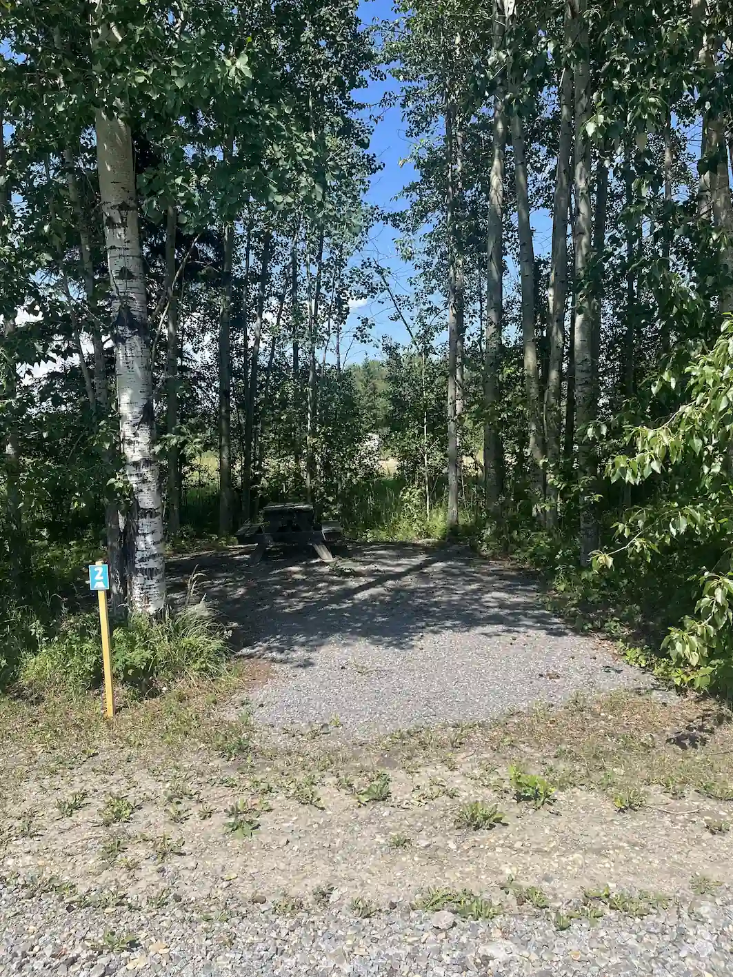 Louie Lake Tent Site